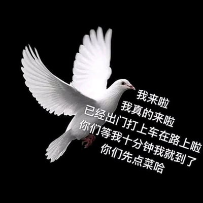 这是一张针对“放鸽子”行为创作的搞笑表情包，以黑色为背景，主体是一只展翅飞行的白色鸽子，鸽子身上叠加了一系列经典的鸽人话术：“我来啦 我真的来啦 已经出门打上车在路上啦 你们等我十分钟我就到了 你们先点菜哈”。用白鸽的形象对应网络用语“放鸽子”，精准还原了那些赴约时明明会迟到甚至爽约，却不断编造“马上就到”的借口的人的状态，常用于朋友聚会、约见等场景中，调侃自己或他人的迟到、爽约行为，充满诙谐感。