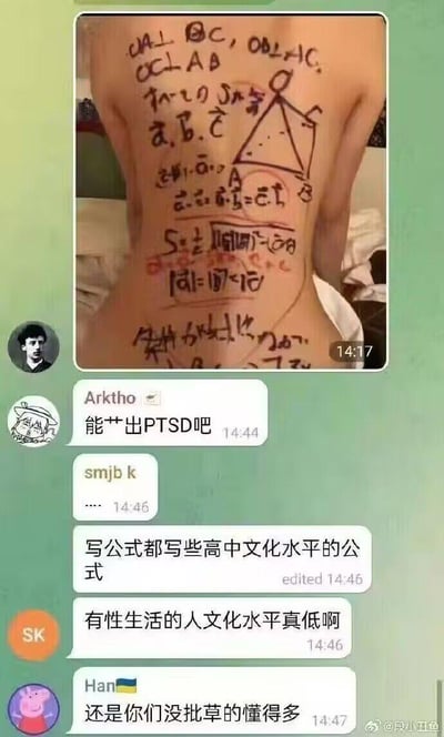 这是一张包含群聊对话与人体照片的截图，上方照片展示了一个人的背部被写满高中数学向量、几何相关的公式，包括垂直关系、向量表示、三角形面积公式等内容；下方群聊中，成员们围绕这张照片展开吐槽：Arktho表示“能艹出PTSD吧”，有成员嘲讽写的是高中水平公式，进而调侃“有性生活的人文化水平真低啊”，最后Han用带有乌克兰国旗的小猪佩奇头像发言，反讽“还是你们没批草的懂得多”，整个对话充满玩梗互怼的反差趣味，用低俗又搞笑的方式制造笑点。