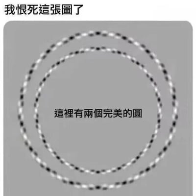 图片背景为灰色，中央有两个由黑白小点交替排列组成的同心圆。图片顶部有文字“我恨死這張圖了”，中间位置有文字“這裡有兩個完美的圓”。这是一张利用视觉错觉原理制作的图片，虽然文字声称是“完美的圆”，但由于黑白点的排列方式，观察者会产生圆圈边缘呈现波浪状起伏的错觉，从而引发抓狂或无奈的情绪。