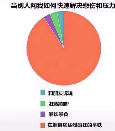 这是一张用于调侃个人解压方式的趣味静态饼图，顶部配有标题文字“当别人问我如何快速解决悲伤和压力”。饼图通过不同颜色区分了四种缓解悲伤与压力的途径：蓝绿色代表“和朋友诉说”、绿色代表“狂喝咖啡”、紫色代表“暴饮暴食”、橙色代表“在健身房猛烈疯狂的举铁”。其中橙色的举铁部分几乎占据了整个饼图，以夸张的占比反差，幽默地突出了自身主要依靠高强度健身来释放情绪、缓解压力和悲伤的状态，整体风格轻松诙谐，符合网络上情绪抒发类内容的特点。