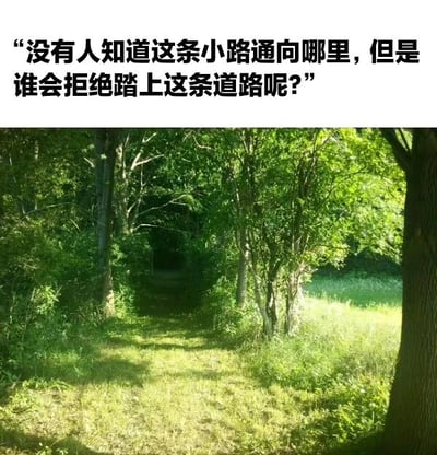 图片上方为黑色文字：“没有人知道这条小路通向哪里，但是谁会拒绝踏上这条道路呢?”，下方是一张森林小路的实景照片。画面中，茂密的绿树形成天然拱廊，阳光透过枝叶洒在长满青草的小路上，延伸至远方的幽暗处，营造出宁静而充满未知探索感的氛围。