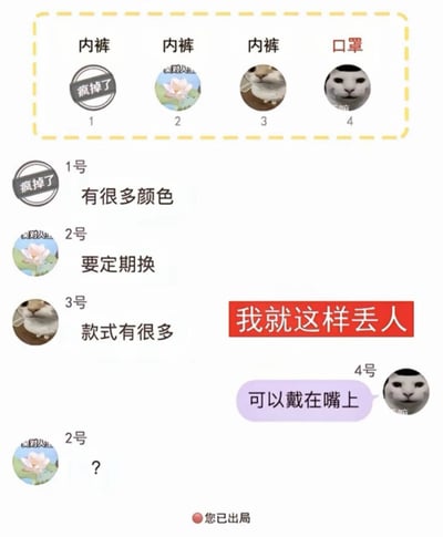 这是一张搞笑梗图，上方有四个选项，前三个标注为“内裤”，第四个标注为“口罩”。1号内裤配文“有很多颜色”，2号内裤配文“要定期换”，3号内裤配文“款式有很多”，4号口罩配文“可以戴在嘴上”。图中还有红色文本“我就这样丢人”和2号发出的问号“?”，通过将内裤和口罩的特性对比制造幽默效果，展现了选择的荒诞感和趣味性。