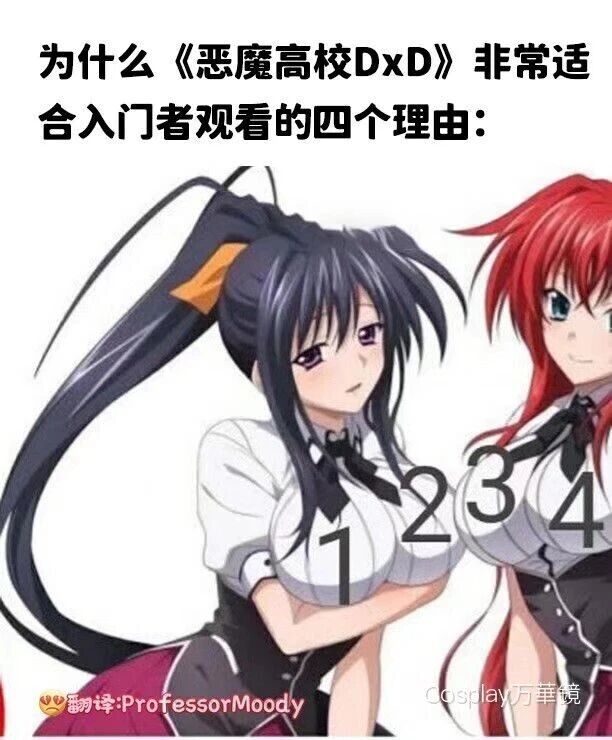 《恶魔高校DxD》
