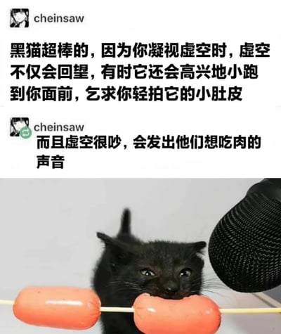 图片上半部分为文字内容，赞美黑猫：“黑猫超棒的，因为你凝视虚空时，虚空不仅会回望，有时它还会高兴地小跑到你面前，乞求你轻拍它的小肚皮”“而且虚空很吵，会发出他们想吃肉的声音”。下半部分是一只黑色小猫，嘴里叼着串有两根橙色香肠的竹签，旁边有一个黑色网状物体（疑似麦克风）。整体通过将黑猫比作“虚空”，用拟人化的文字和小猫叼香肠的可爱画面，幽默展现黑猫的萌态和对食物的渴望。