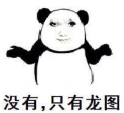 这是一张二次创作的熊猫头表情包，将熊猫的头部替换成了带有妆容的真人脸，熊猫双臂摊开，摆出无所谓的姿态，下方配文“没有，只有龙图”。这张图常用于他人索要特定图片时回应，以一种耍无赖、戏谑的语气表示只有这张图（即“龙图”），没有对方需要的内容，属于网络玩梗的趣味表达，传递出摆烂、无所谓的情绪。