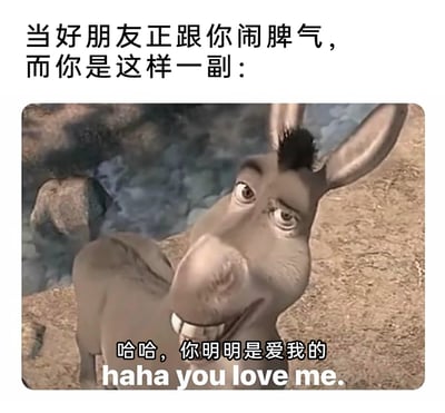 这是一张用于朋友间趣味互动的搞怪表情包，上方配文“当好朋友正跟你闹脾气，而你是这样一副：”引出场景，图中是动画《怪物史莱克》里的毛驴角色，它歪着脑袋，眼神戏谑，表情带着笃定的搞怪感，下方配文“哈哈，你明明是爱我的 haha you love me.”，用来表现面对好友闹脾气时，完全不慌乱，笃定对方内心在乎自己的自信心态，能轻松化解朋友间的小矛盾，充满趣味。