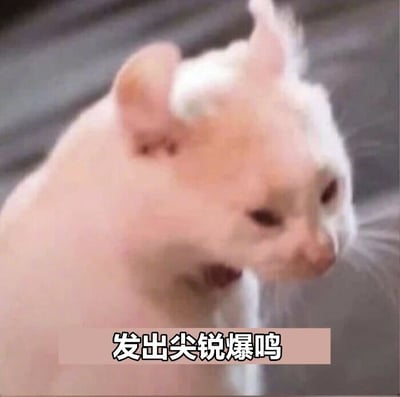 一张白猫的特写照片，猫咪嘴巴微张，似乎正在发出声音。图片下方有文字“发出尖锐爆鸣”，以幽默的方式形容猫咪的叫声，营造出搞笑效果。