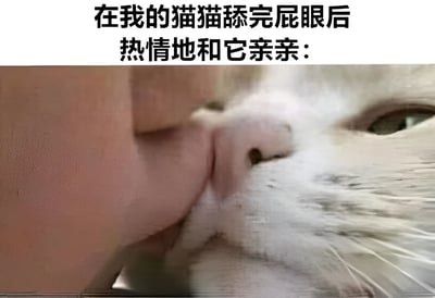 图片上方有文字“在我的猫猫舔完屁眼后热情地和它亲亲：”，下方是一张特写照片，显示一个人正在亲吻一只白猫的鼻子。猫咪的眼睛清晰可见，表情看起来比较平静。这张图片通过文字和画面的结合，制造出一种幽默的反差效果，调侃了猫咪舔舐自己肛门后主人仍与其亲密接触的场景。