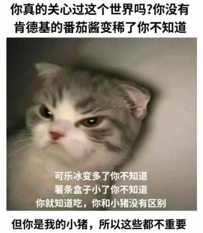 图片上方文字以反问句开头：“你真的关心过这个世界吗?你没有 肯德基的番茄酱变稀了你不知道”，中间是一只灰白相间的猫咪从角落探出头，表情严肃凝视前方，下方文字继续吐槽：“可乐冰变多了你不知道 薯条盒子小了你不知道 你就知道吃，你和小猪没有区别”，最后转折：“但你是我的小猪，所以这些都不重要”。整体通过夸张的“指责”与温柔的结尾形成反差萌，用猫咪的严肃表情搭配生活化的吐槽，营造出幽默又宠溺的氛围。