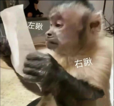 一只猴子双手拿着一张白纸，头部微微转动，似乎在左右张望。图片上分别在左侧和右侧标注了“左瞅”和“右瞅”的文字，生动表现出猴子好奇或警惕地观察四周的样子，常被用作表达好奇、窥探或左右为难的情绪。