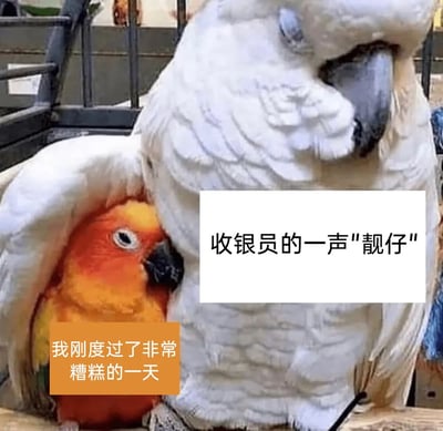 这是一张治愈系网络梗图，画面里一只橙色小鹦鹉带着委屈的神情依偎在白色大鹦鹉的翅膀下，小鹦鹉的配文是“我刚度过了非常糟糕的一天”，白色大鹦鹉对应的配文是“收银员的一声‘靓仔’”。图中用拟人化的手法，将陌生人一句简单的善意称呼，比作温暖的拥抱，精准表达了当代人在经历疲惫糟糕的一天后，一句不起眼的夸赞就能带来情绪上的治愈，戳中了人们在平凡生活中渴望被认可、被安慰的细腻心理，风格搞笑又暖心。