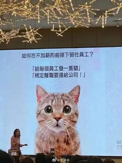 会议现场，一位演讲者正在台前展示幻灯片。幻灯片标题为“如何在不加薪的前提下留住员工？”，下方列出两条“解决方案”：“给每个员工发一套猫”和“规定离职要还猫给公司！”，中间配有一张大眼萌猫的图片。画面上方有装饰性灯光，台下有观众，整体氛围幽默讽刺，用荒诞的提案调侃企业不愿加薪却想留住员工的现象。