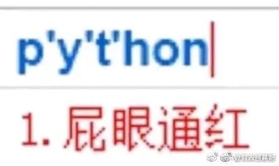 这是一张静态单图，采用顶配底文的图文混排形式，上方模拟输入框样式展示了被单引号拆分的英文单词“p'y't'hon”，下方以红色醒目字体标注对应的中文谐音内容“1. 屁眼通红”，利用编程语言Python的发音进行低俗谐音玩梗，通过拆分单词的方式强化发音与谐音文字的对应关系，图的右下角带有微博水印“@有点道理君”，整体是为了制造搞笑效果的网络梗图。
