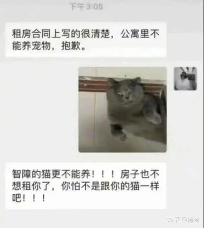 这是一张图文混排的聊天记录截图，记录了一段因宠物引发的搞笑租房对话。对话初始，租房管理员（或房东）依据租房合同条款，告知租房申请者公寓内禁止养宠物，拒绝了对方的租房申请。随后申请者发送了一张灰色猫咪的图片，这只猫咪身体卡在类似门框的结构中，表情呆滞、姿态僵硬，看起来十分笨拙蠢萌。看到图片后，租房管理员（或房东）情绪变得激动，不仅强调这种看起来“智障”的猫更不能养，还表示不愿将房子租给申请者，甚至嘲讽申请者和这只猫一样。整个场景的笑点在于猫咪蠢萌的形象恰好契合了对方的嘲讽，形成了强烈的趣味反差，是利用网络流行的蠢萌宠物梗图制造笑点的趣味聊天内容。