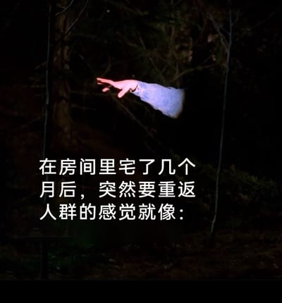 这是一张结合了影视截图与文字的梗图，画面主体是一只手从昏暗阴森的树林黑暗中伸出，搭配下方的文字“在房间里宅了几个月后，突然要重返人群的感觉就像：”，用恐怖电影里未知、惊悚的场景，精准调侃了长期宅家的人群，尤其是社恐人群，在需要重返社交场合时的忐忑、不安与抗拒心理，仿佛要面对未知的危险一般，生动地传递出这类人群对社交的恐惧与不适，极易引发有类似经历的人的共鸣。