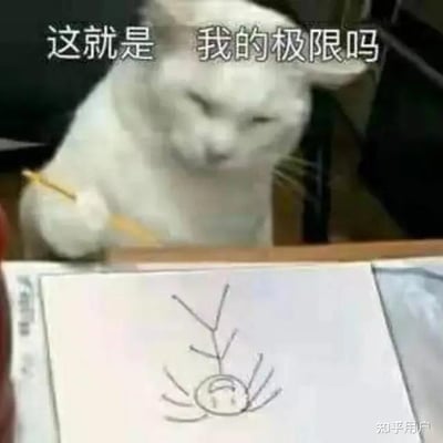 一只白猫正坐在桌前，用爪子握着铅笔，神情严肃地凝视着纸上的简笔画。画纸上是一幅线条简单、略显凌乱的图画，看起来像是太阳或某种抽象图案。图片上方配有文字“这就是 我的极限吗”，拟人化地表现出猫咪对自己绘画能力的怀疑与无奈，仿佛在创作过程中遇到了瓶颈，完美诠释了人们面对困难时自我怀疑的心情。