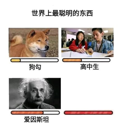 这是一张通过多图拼接和图文混排制作的搞笑对比图，标题为“世界上最聪明的东西”。图中包含三个主要元素：左侧是一只表情淡定的柴犬（标注“狗勾”），下方配有较短的黄色进度条；中间是两位正在做题的高中生（标注“高中生”），下方配有较长的橙色进度条；右侧是爱因斯坦的黑白肖像（标注“爱因斯坦”），下方配有更长的红色进度条，最底部还有一个全满的红色进度条，幽默地暗示存在比爱因斯坦更聪明的事物，通过进度条长度夸张对比不同对象的“聪明程度”，营造出搞笑调侃的效果。