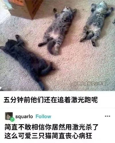 这是一张结合宠物实拍与社交评论的趣味梗图，画面上方是三只仰躺在浅色地毯上的猫咪，它们四肢摊开，身体瘫软，看起来完全耗尽了精力，毫无力气；画面下方分为两部分文字，第一部分说明“五分钟前他们还在追着激光跑呢”，解释了猫咪之前还处于活跃状态，第二部分是海外社交平台用户squarlo的评论，故意用夸张的语气调侃“简直不敢相信你居然用激光杀了这么可爱三只猫简直丧心病狂”，这里是玩了一个幽默的梗——猫咪追激光笔会大量消耗体力，最后瘫倒不动，网友将这种状态夸张地描述为被“激光杀死”，用戏谑的方式展现猫咪精力耗尽后的可爱模样，充满趣味性。