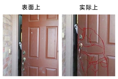 这是一张采用左右对比形式呈现的搞笑梗图，左侧标注“表面上”，画面是一扇半开的棕色入户门，门缝中一只狗狗探出头，看起来只是好奇向外张望的普通日常场景；右侧标注“实际上”，保留了相同的门和门缝里的狗狗，但在门上用红色线条绘制了一个结合门把手、门锁的简笔人形图案，将门的五金件巧妙融入人形的肢体结构，营造出狗狗其实是被这个“人形怪物”操控、门后藏着特殊存在的错觉，通过这种打破常规认知的视觉反差，制造出荒诞搞笑的效果，利用手绘元素和门的原有结构形成视觉误导，增强了趣味感。