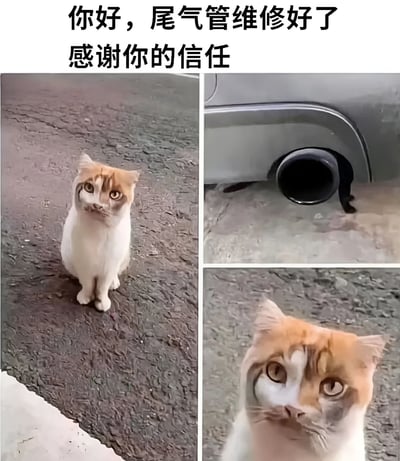 图片为三格拼接的搞笑梗图，上方配有文字'你好，尾气管修好了 感谢你的信任'。左侧大图是一只面部毛色呈独特花纹的猫咪蹲坐在粗糙的地面上，眼神严肃地抬头看；右上角是汽车尾气管的特写；右下角是猫咪脸部的近距离特写。通过猫咪的表情与尾气管图片的搭配，营造出猫咪'完成维修工作'后向车主致谢的幽默场景，利用视觉联想产生趣味效果。