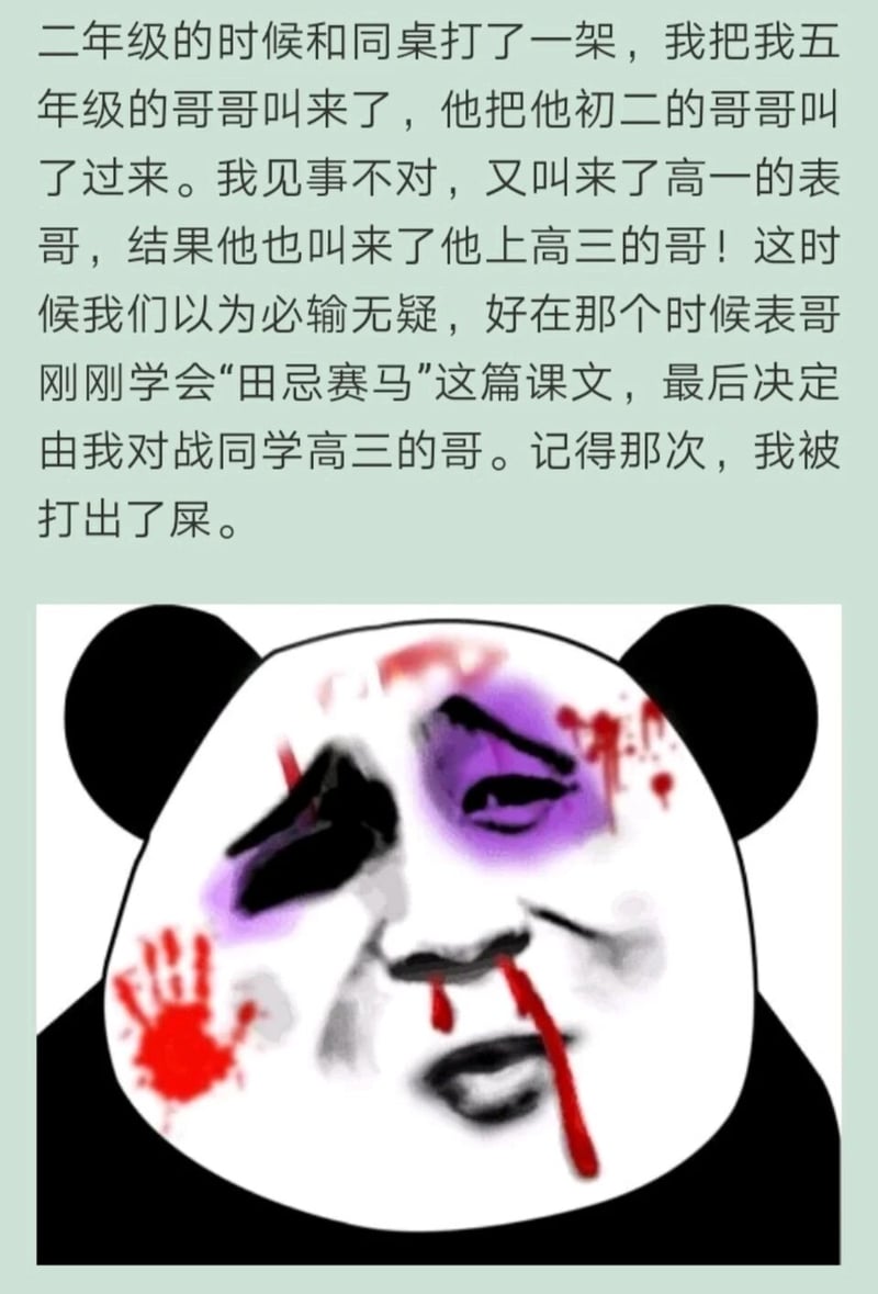 暴走熊猫头