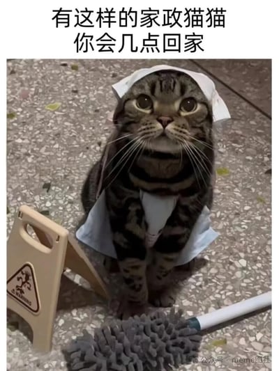 一只穿着家政服务制服的虎斑猫，戴着头巾和围裙，正严肃地坐在地面上。猫咪面前摆放着清洁工具，包括一个湿滑地面警示牌和一个除尘掸。图片上方配有文字："有这样的家政猫猫 你会几点回家"，以幽默方式调侃如果有如此可爱的猫咪家政服务，人们会多早回家。