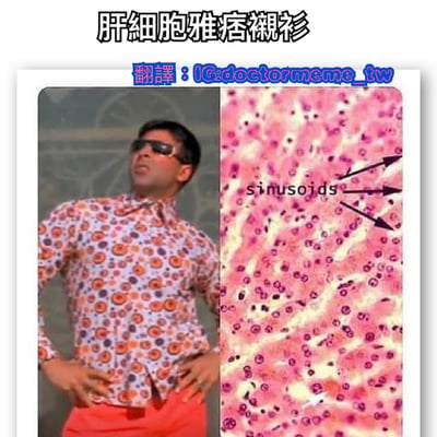 该梗图为左右对比结构，左侧是一位戴着墨镜、身穿橙紫相间圆形图案花衬衫的男子，双手叉腰抬头，姿态酷拽；右侧是标注有'sinusoids'（血窦）的肝细胞显微镜图像，其细胞排列与左侧花衬衫的图案高度相似。图片上方配有文字'肝细胞雅痞衬衫'，通过视觉相似性制造幽默效果，将肝细胞结构调侃为时尚的雅痞风格衬衫。