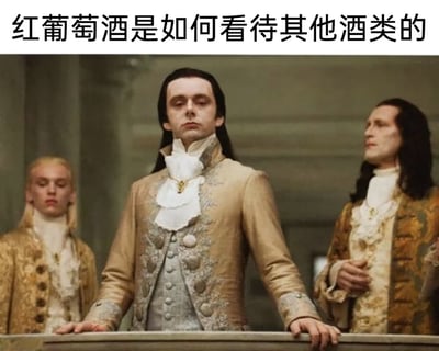 图片中三位身着18世纪欧洲贵族服饰的男性，身着华丽的金色刺绣外套与白色领巾，表情严肃地站在一处宏伟的室内场景中。上方文字“红葡萄酒是如何看待其他酒类的”将贵族们高傲、不屑的神态与红葡萄酒可能对其他酒类产生的优越感联系起来，通过视觉隐喻形成幽默效果。