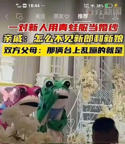这是一张新闻视频截图，画面展示了一场极具创意的婚礼现场：舞台布置有白色栏杆和装饰花艺，一粉一绿两个青蛙玩偶服在台上蹦跳，而这两个玩偶服里的人正是这场婚礼的新郎与新娘。配文还原了现场的搞笑对话：到场的亲戚疑惑找不到新郎新娘，向双方父母询问后，才得知台上蹦跳的这两个穿青蛙服的人就是新人。该场景打破了传统婚礼的常规形式，充满新奇与搞笑的氛围，展现了新人独特的婚礼创意。