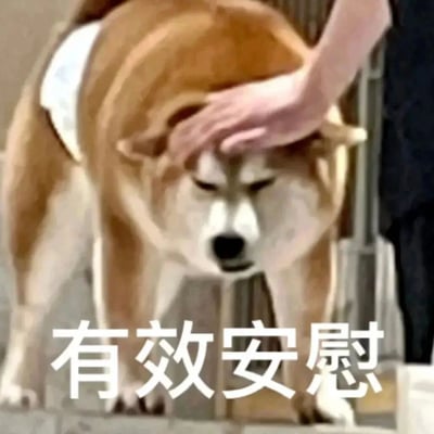 图片中一只棕白相间的柴犬正被一只手轻轻抚摸头部，狗狗双眼微闭，表情显得十分平静惬意。图片底部配有文字“有效安慰”，直观传达出抚摸动作带来的舒适感。整个场景温馨治愈，没有双关或谐音梗。
