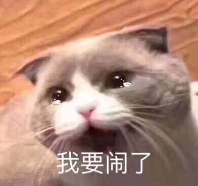 委屈猫咪说'我要闹了'表情包
