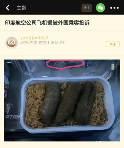 这是一张关于印度航空公司飞机餐的社交网络吐槽图，图中展示了一份被认为卖相奇差、颜色灰暗、形状怪异的飞机餐饭盒。盒内主菜形态不明，网友评论纷纷猜测其内容，有明显的调侃甚至恶搞成分。图片上方为网上的一个讨论帖标题“印度航空公司飞机餐被外国乘客投诉”，下方配有一张航空餐实拍图。该图流行于中文互联网，经常用来调侃难吃的食物或无法直视的餐饮。“形状怪异、颜色不佳”往往成为网友们发挥想象力制造各类段子的对象。

本图有明显的暗示和吐槽成分，主角是被指外观和味道都让人难以接受的飞机餐，主文本和图片形成强烈反差效果，带有网络搞笑、讽刺和黑色幽默属性。
