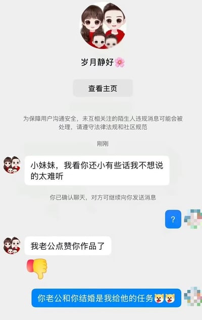这是一张社交媒体平台的私信聊天截图，发送消息的用户昵称为“岁月静好”，头像是一家四口的卡通形象，她先是放狠话称收信人年纪小，自己不想把话说得太难听，随后说明缘由是自己的老公点赞了收信人发布的作品，还附带了一个向下表示不满的拇指表情；收信人则给出了极具反差感的搞笑调侃回复，称“你老公和你结婚是我给他的任务”，还搭配了两个搞怪的狗头表情，整体内容荒诞好笑，用离谱的玩笑消解了对方的敌意，戏剧感十足。