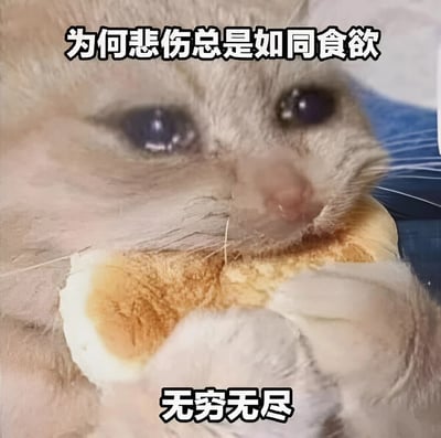 一张小动物特写照片，看起来像是一只蜜袋鼯或类似的啮齿动物，它有着大大的、水汪汪的悲伤眼睛，正抱着一块烤得金黄的面包。图片上方有文字"为何悲伤总是如同食欲"，下方有文字"无穷无尽"，通过可爱动物与哲学文字的反差制造幽默效果。