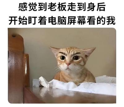 这张梗图展示了一只被添加了人类眉毛的猫，表情严肃地盯着前方，配合文字"感觉到老板走到身后开始盯着电脑屏幕看的我"，幽默地表现了职场中被老板突然监视时的紧张和警觉状态。猫的严肃表情与可爱外形形成反差萌，增强了搞笑效果。