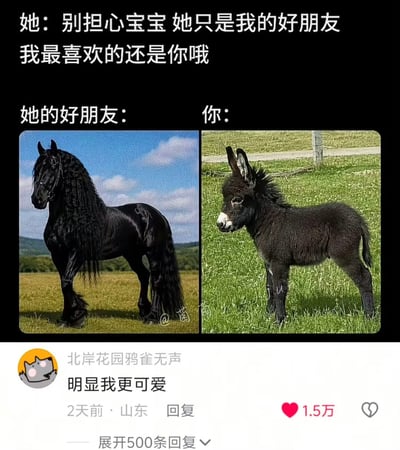 这是一张结合了梗图与社交平台评论的搞笑内容，上方黑色背景配文为伴侣的安抚话术：“别担心宝宝 她只是我的好朋友 我最喜欢的还是你哦”，下方分为左右两个对比区域：左侧标注“她的好朋友”，配图是一匹外形高大健美、鬃毛浓密飘逸的纯黑骏马，形象十分出众；右侧标注“你”，配图是一只身材矮小、外形憨态的小黑驴。二者形成强烈的形象反差，调侃在亲密关系中，伴侣口中“只是好朋友”的异性实际条件远优于自己，自己在这段关系里处于弱势的处境。图片下方附带了该内容的社交平台评论区截图，有昵称为“北岸花园鸦雀无声”的用户评论“明显我更可爱”，获得1.5万点赞，是网友代入驴的视角进行玩梗互动。
