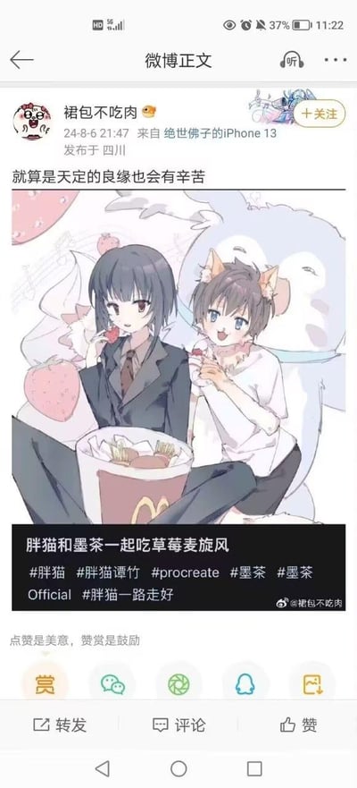 这是微博用户@裙包不吃肉发布的一条纪念内容，正文配文“就算是天定的良缘也会有辛苦”，下方是一幅用Procreate创作的拟人卡通插画，画中是已离世的网络人物胖猫（谭竹）和墨茶的拟人形象，两人坐在一起，手持草莓，面前摆放着麦当劳的草莓麦旋风，画面风格温馨柔和。内容附带多个相关话题标签，包括#胖猫 #胖猫谭竹 #墨茶 #胖猫一路走好等，整体氛围带着伤感与温情，是粉丝为纪念两位逝者创作的同人作品，用于寄托哀思。