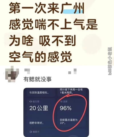 这是一张调侃广州高湿度气候的搞笑梗图，属于图文混排类型。图的上半部分是提问文字：“第一次来广州 感觉喘不上气是为啥 吸不到空气的感觉”，下方配了网友的搞笑回复“有鳃就没事”，最下方是天气应用的截图，其中96%的湿度数值被红色圆圈重点标注，同时还显示当前露点温度为22°。内容用夸张玩梗的方式生动体现出广州空气湿度极高，体感憋闷仿佛身处水中，需要有鳃才能顺畅呼吸的特点，笑点清晰易懂。