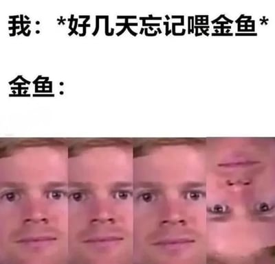 这张梗图展示了‘我’忘记喂金鱼好几天后，金鱼的反应。上方文字说明情境，下方通过四张逐渐放大的人脸图片，表现金鱼越来越愤怒和强烈的注视，幽默地传达了宠物被忽视后的情绪。