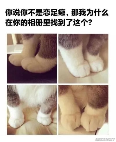 这是一张趣味恶搞的多图拼接梗图，上方配有质问式的文字“你说你不是恋足癖，那我为什么在你的相册里找到了这个？”，下方四格均为猫咪爪子的特写照片。这些猫咪的爪子因毛发分布、摆放姿势等原因，视觉效果与人类的脚部高度相似，图中利用视觉错位的创意，将猫咪的可爱爪子伪装成人类的脚，以此调侃所谓“恋足癖”，制造出无恶意的趣味笑点，属于宠物类的搞笑创作，风格轻松诙谐，容易引发宠物爱好者的共鸣。