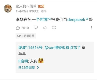 这是一张来源于社交平台的评论区截图，网友用“李华在另一个世界把我们当deepseek整”调侃AI和英语教材世界观，巧妙地把deepseek（中国AI大模型平台）和“整”（网络搞笑用语）及教材人物李华联动，形成幽默、魔性的网络梗。下方的热门回复配有“有点花了”、“草”、“入典”等常用网络热词，氛围轻松搞笑。

**双关/谐音梗：**
- “deepseek”与英文单词“deep sick”谐音，结合AI话题和自嘲成分。
- “整”意指“调教”、“搞”，是网络常用新词。
- “李华”作为教材常见名字，具有广泛的网络象征意义。
