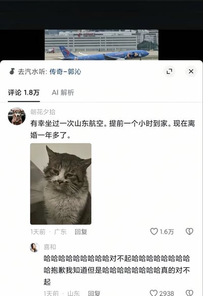 这是一张中文社交平台的评论区截图，顶部露出机场停机坪的蓝色涂装飞机画面，界面顶部显示当前正在收听的音频是郭沁演唱的《传奇》，评论区共有1.8万条评论。高赞第一条评论由用户“朝花夕拾”发布，内容为“有幸坐过一次山东航空。提前一个小时到家。现在离婚一年多了”，下方搭配了一张神态沧桑、表情生无可恋的灰白滤镜猫咪表情包，该评论获1.6万点赞。第二条是用户“喜和”的回复，内容为密集的大笑表述，同时反复道歉，获2938点赞。该内容是玩山东航空“飞行速度极快、经常大幅提前抵达”的网络梗，用夸张虚构的“提前到家撞见意外导致离婚”的离谱后果，玩梗凸显山航的速度特点，笑点十足。