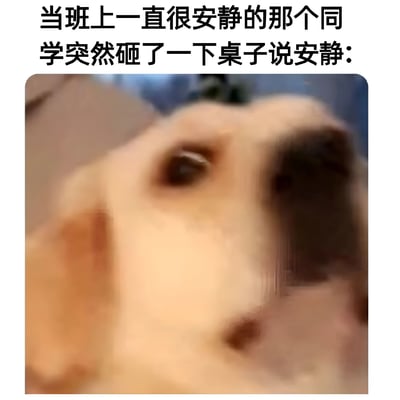 图片上方配有文字'当班上一直很安静的那个同学突然砸了一下桌子说安静：'，下方是一张模糊的狗脸特写，狗狗眼神锐利，表情似乎带着一丝震惊或威严，通过将平时安静同学的突然爆发与狗的强烈表情结合，形成幽默的反差效果，展现校园生活中意外场景的搞笑瞬间。