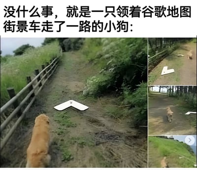 这是一张多图拼接的搞笑图片，主要展示一只小狗在乡间小路上行走，前方有一个谷歌地图风格的白色导航箭头，仿佛小狗正在带领谷歌地图街景车前行。图片上方有文字说明：'没什么事，就是一只领着谷歌地图街景车走了一路的小狗：'。主图展示小狗正沿着有木栅栏的泥土路前进，前方有明显的谷歌地图导航箭头；右侧有两张小图从不同角度展示小狗继续前行的场景。整体营造出一种幽默有趣的氛围，仿佛小狗真的在为地图车导航。