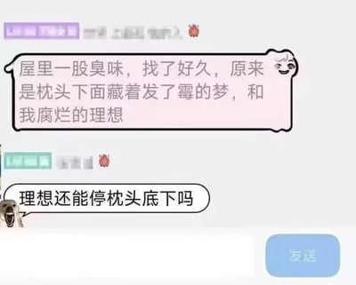 这是一张聊天界面截图，首先有用户发布了一段带有丧文化氛围的文艺感慨，称屋里的臭味来自枕头下发霉的梦和自己腐烂的理想，营造出伤感emo的氛围；紧接着另一位用户搭配张嘴的狗头表情包，发出接地气的反问“理想还能停枕头底下吗”，瞬间打破前一句的伤感氛围，用无厘头的提问形成强烈反差，产生搞笑效果，属于典型的网络玩梗内容。