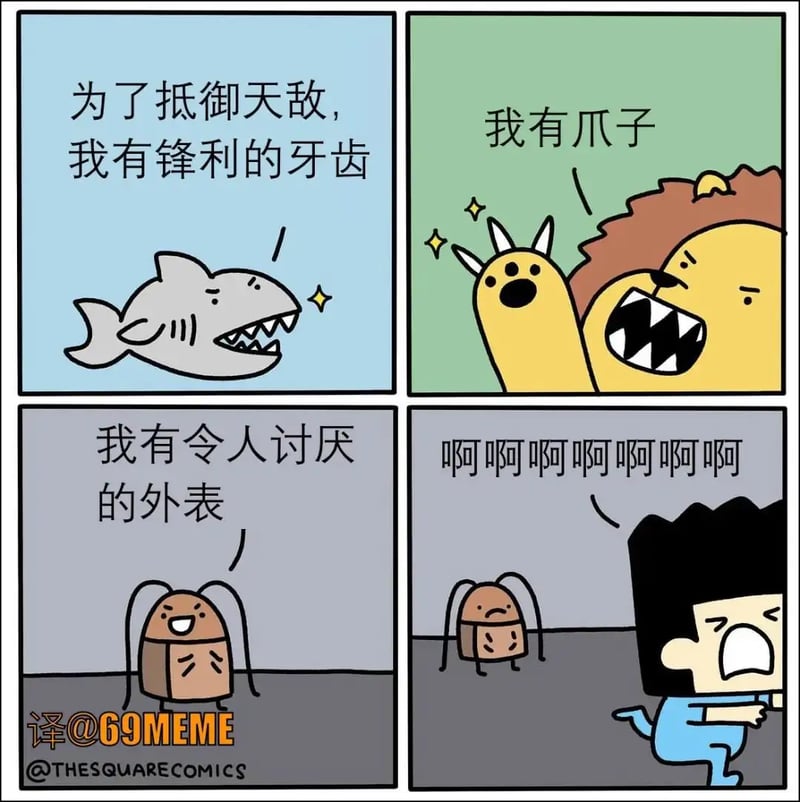 鲨鱼