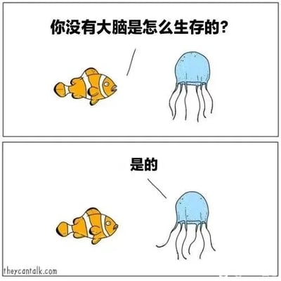 这是一幅由上下两格组成的连环卡通漫画，采用剧场式构图，属于静态卡通图像。上格中，一条面露疑惑的小丑鱼张嘴向身旁的水母提问：“你没有大脑是怎么生存的？”；下格中，水母没有正面回答小丑鱼的问题，只是平静地回应了“是的”，这种答非所问的无厘头回应制造出冷笑话的幽默效果，简洁的画风让趣味感更加突出，通过动物拟人化的对话来传递滑稽的氛围。