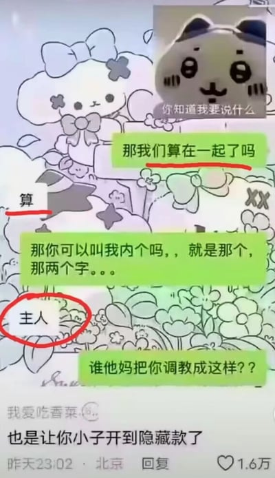 图片为卡通风格的对话式梗图，左侧是戴着蝴蝶结的Sanrio角色My Melody，右侧是表情狡黠的熊猫头表情包角色。绿色对话框中展现对话：My Melody问「那我们算在一起了吗」（红笔下划线），对方答「算」（红笔下划线）；接着My Melody娇羞询问「那你可以叫我内个吗，就是那个，那两个字...」，下方「主人」二字被红圈标注，最后对方崩溃反问「谁他妈把你调教成这样??」。图片底部有用户评论「我爱吃香菜」及回复「也是让你小子开到隐藏款了」，显示发布于昨天23:02·北京，获1.6万点赞。整体风格可爱又带点无厘头，通过角色反差制造幽默效果。