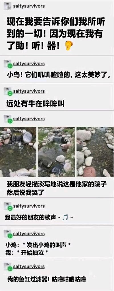用户saltysurvivors在社交媒体上发布的一系列帖子，分享自己获得助听器后第一次听到各种声音的激动体验。内容包括听到小鸟叽叽喳喳、远处牛哞哞叫，看到朋友家院子里有溪流的图片后感动哭泣，以及听到最好朋友的歌声、小鸡叫声和鱼缸过滤器咕噜声时的反应，整体充满喜悦和感动的情绪。