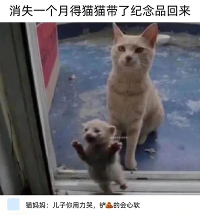 这张梗图的主角是一只猫和一只小猫，场景设定为猫咪消失一个月后带着“纪念品”回家，画面有幽默感和反差萌。上方大字标题直接点明背景，图片中的猫淡定坐着，旁边的小猫像是新带回的“宝宝”。配文用轻松、拟人化的口吻调侃铲屎官如何被猫咪的行为收买。用词中“铲💩的”代指主人，以及“纪念品”暗指小猫崽，均有网络谐音梗和轻微暗示。非常适合在网友讨论养宠爆笑事件时使用。